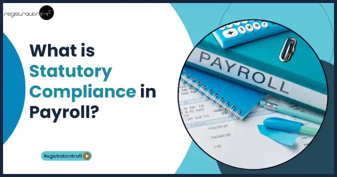 What is Statutory compliance in Payroll?