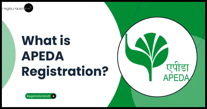 What is APEDA Registration