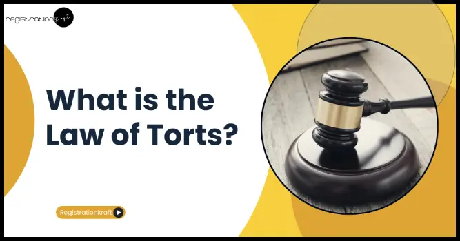 what is the tort law