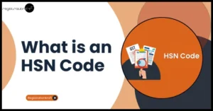 An article feature image of article topic " What is an HSN Code"